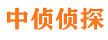 南江侦探公司